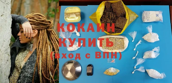 гидра Ельня