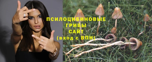 ешки Верея