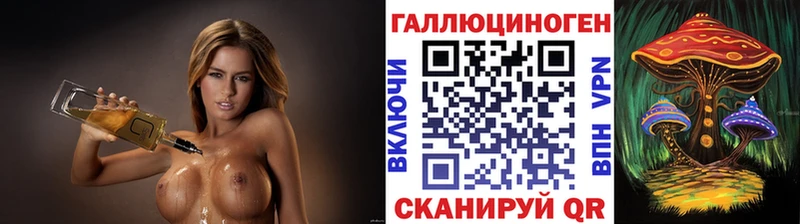 Псилоцибиновые грибы Psilocybine cubensis  Томари 