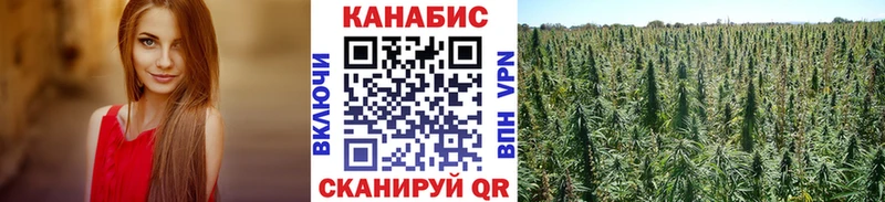 наркота  Томари  Марихуана марихуана 